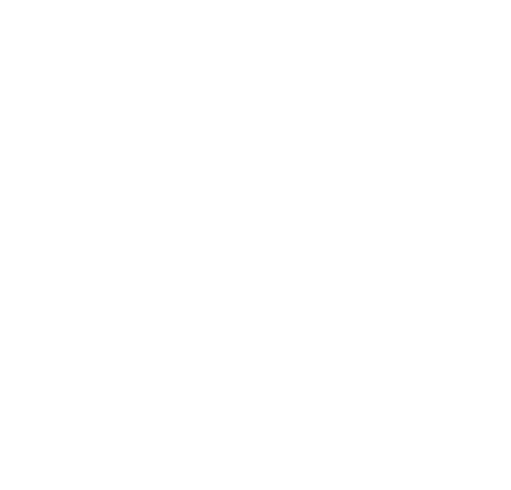 Démo Pro Radio thème 11